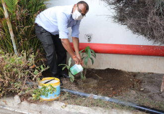 world environment day 2020