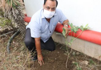 world environment day 2020