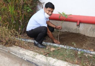world environment day 2020