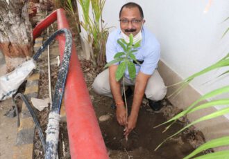 world environment day 2020