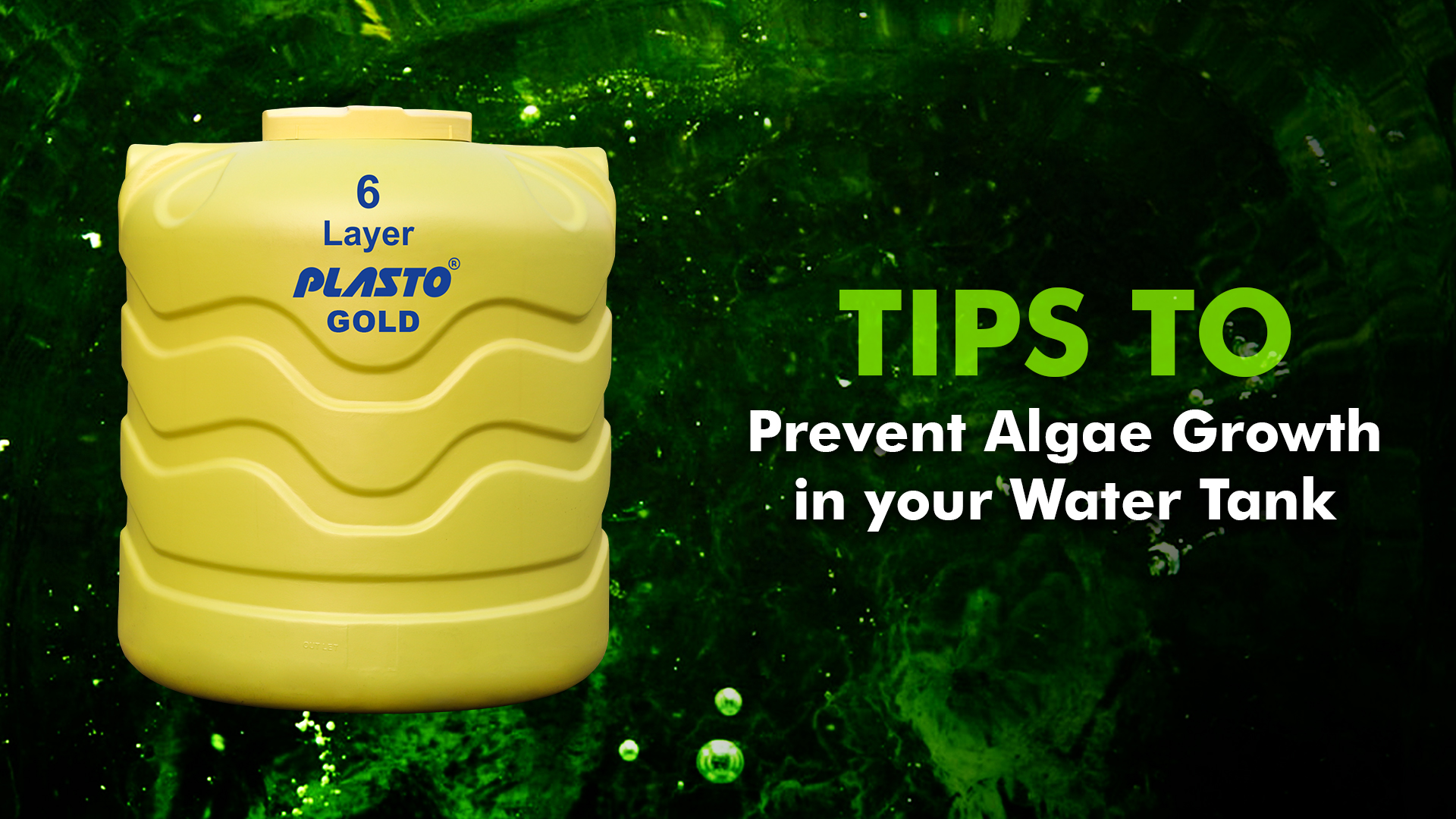 How to stop algae growth in your water tank